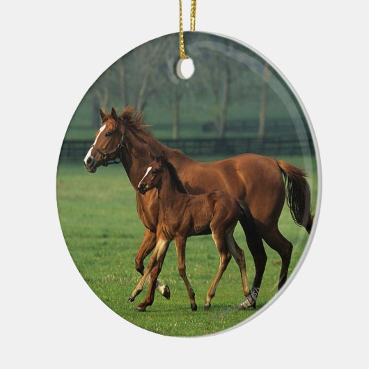 Thoroughbred Mare & Foal 3 Keramisch Ornament (Links)