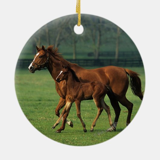 Thoroughbred Mare & Foal 3 Keramisch Ornament (Achterkant)