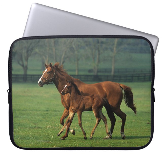 Thoroughbred Mare & Foal 3 Laptop Sleeve (Voorkant)