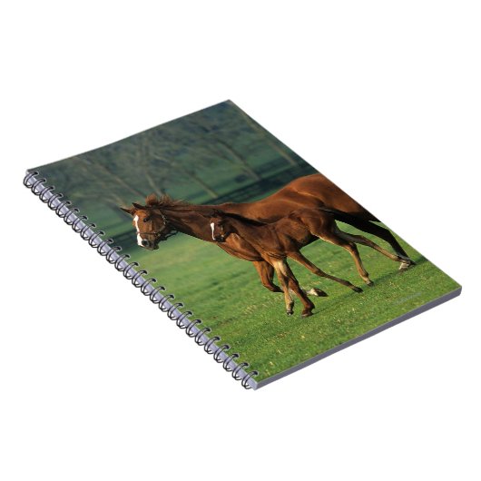 Thoroughbred Mare & Foal 3 Notitieboek (Rechterzijde)