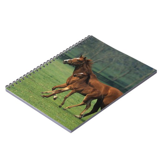 Thoroughbred Mare & Foal 3 Notitieboek (Linkerzijde)