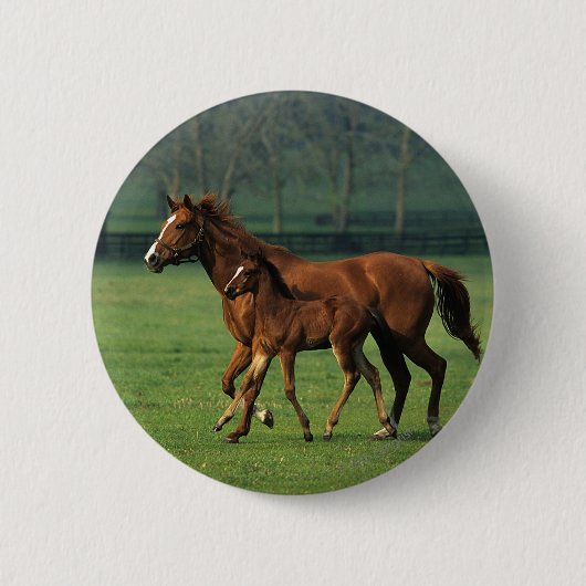 Thoroughbred Mare & Foal 3 Ronde Button 5,7 Cm (Voorkant)