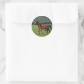 Thoroughbred Mare & Foal 3 Ronde Sticker (Tas)