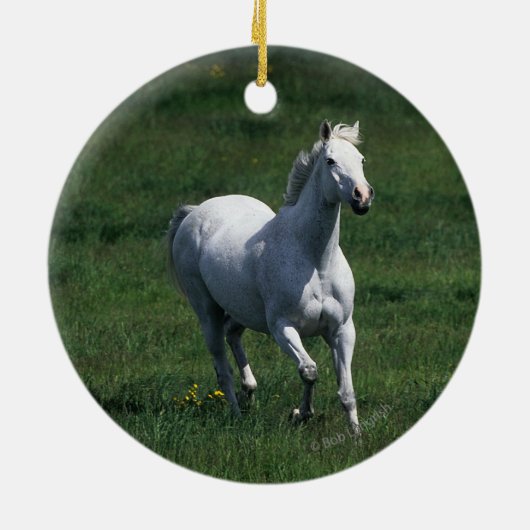 Thoroughbred Mare Keramisch Ornament (Achterkant)