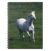 Thoroughbred Mare Notitieboek (Voorkant)