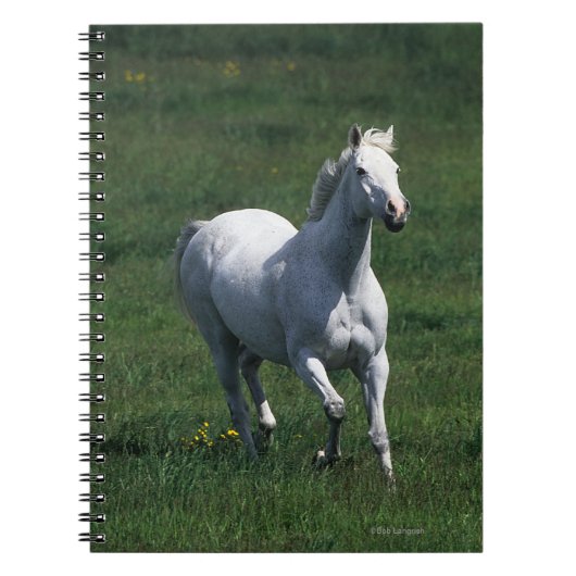 Thoroughbred Mare Notitieboek (Voorkant)