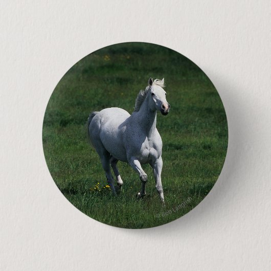 Thoroughbred Mare Ronde Button 5,7 Cm (Voorkant)