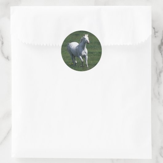 Thoroughbred Mare Ronde Sticker (Tas)
