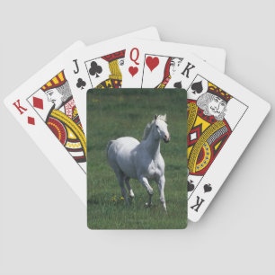 Thoroughbred Mare Speelkaarten