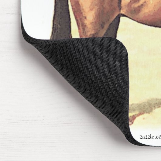 Thoroughbred Muismat (Hoek)