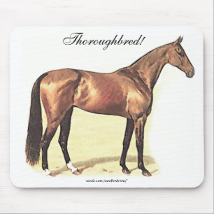 Thoroughbred Muismat