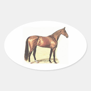 Thoroughbred Ovale Sticker