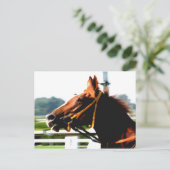Thoroughbred Race Horse Briefkaart (Staand voorkant)