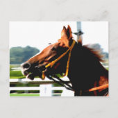 Thoroughbred Race Horse Briefkaart (Voorkant)