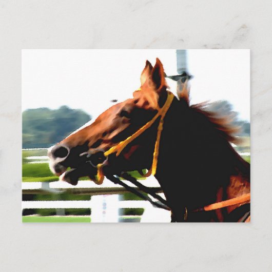 Thoroughbred Race Horse Briefkaart (Voorkant)