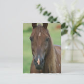 Thoroughbred Race Horse Briefkaart (Staand voorkant)