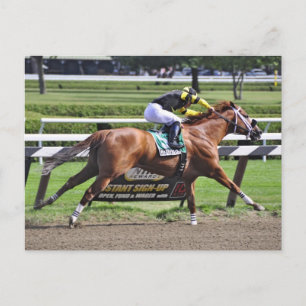 Thoroughbred Racing at Historic Saratoga Racetrack Briefkaart