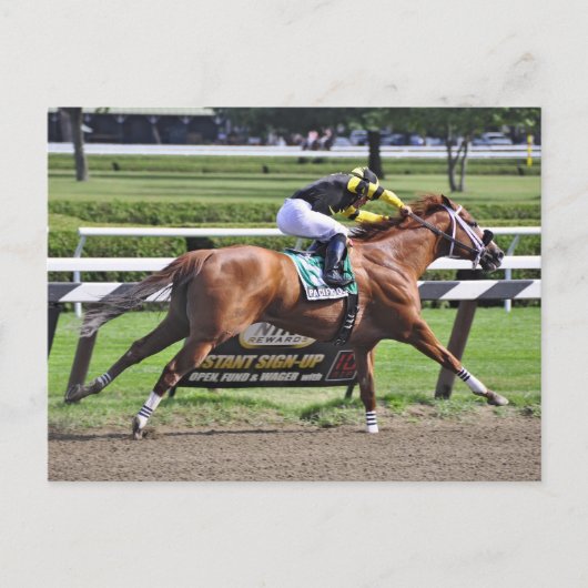 Thoroughbred Racing at Historic Saratoga Racetrack Briefkaart (Voorkant)