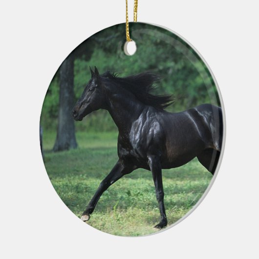 Thoroughbred Running Keramisch Ornament (Links)