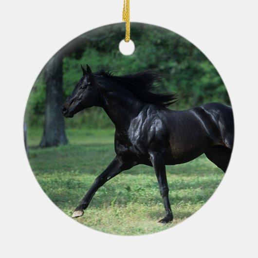 Thoroughbred Running Keramisch Ornament (Achterkant)