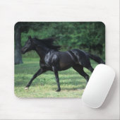 Thoroughbred Running Muismat (Met muis)