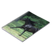 Thoroughbred Running Notitieboek (Linkerzijde)