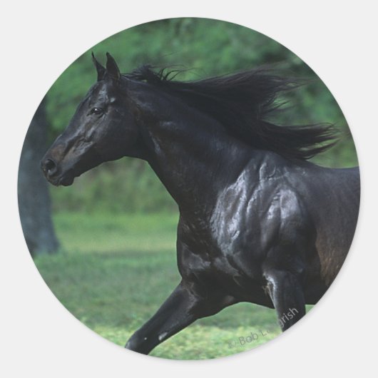 Thoroughbred Running Ronde Sticker (Voorkant)