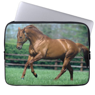Thoroughbred Stallion, Ierland Laptop Sleeve