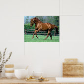 Thoroughbred Stallion, Ierland Poster (Keuken)