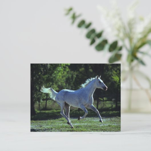 Thoroughbred Stallion Running Briefkaart (Staand voorkant)