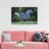 Thoroughbred Stallion Running Canvas Afdruk (Insitu (Woonkamer))