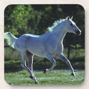 Thoroughbred Stallion Running Drankjes Onderzetter