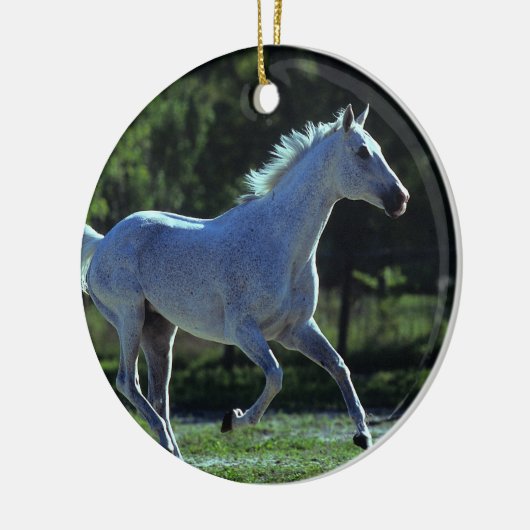 Thoroughbred Stallion Running Keramisch Ornament (Links)