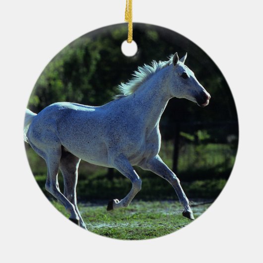 Thoroughbred Stallion Running Keramisch Ornament (Achterkant)