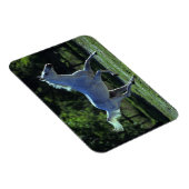 Thoroughbred Stallion Running Magneet (Rechterzijde)