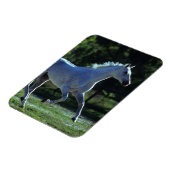 Thoroughbred Stallion Running Magneet (Linkerzijde)