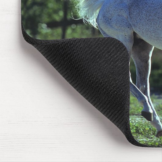 Thoroughbred Stallion Running Muismat (Hoek)