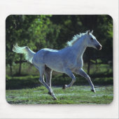 Thoroughbred Stallion Running Muismat (Voorkant)