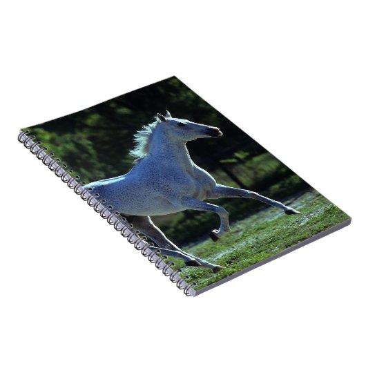 Thoroughbred Stallion Running Notitieboek (Rechterzijde)