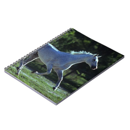 Thoroughbred Stallion Running Notitieboek (Linkerzijde)