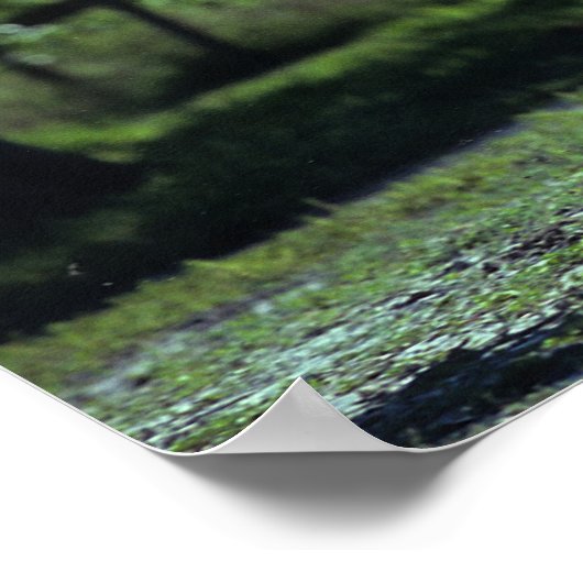 Thoroughbred Stallion Running Poster (Hoek)