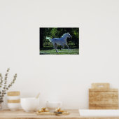 Thoroughbred Stallion Running Poster (Keuken)