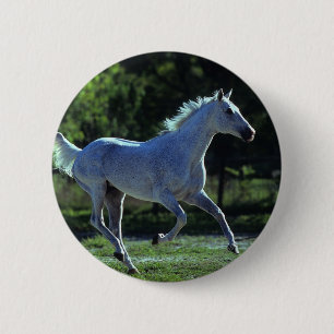 Thoroughbred Stallion Running Ronde Button 5,7 Cm