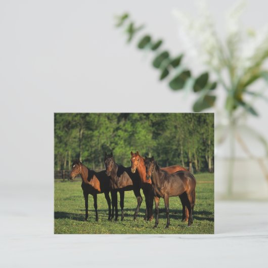 Thoroughbred Yearlings Briefkaart (Staand voorkant)