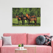 Thoroughbred Yearlings Canvas Afdruk (Insitu (Woonkamer))