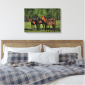 Thoroughbred Yearlings Canvas Afdruk (Insitu (Slaapkamer))