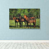 Thoroughbred Yearlings Canvas Afdruk (Insitu (Houten vloer))
