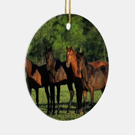 Thoroughbred Yearlings Keramisch Ornament (Rechts)