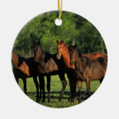 Thoroughbred Yearlings Keramisch Ornament (Voorkant)