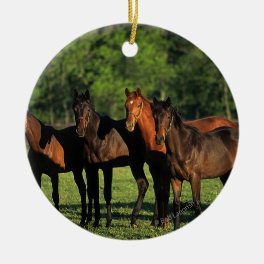 Thoroughbred Yearlings Keramisch Ornament (Voorkant)